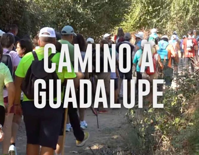 ÉXITO ROTUNDO DE LA PEREGRINACIÓN MAGNA A GUADALUPE DESDE LAS VEGAS  ALTAS DEL GUADIANA